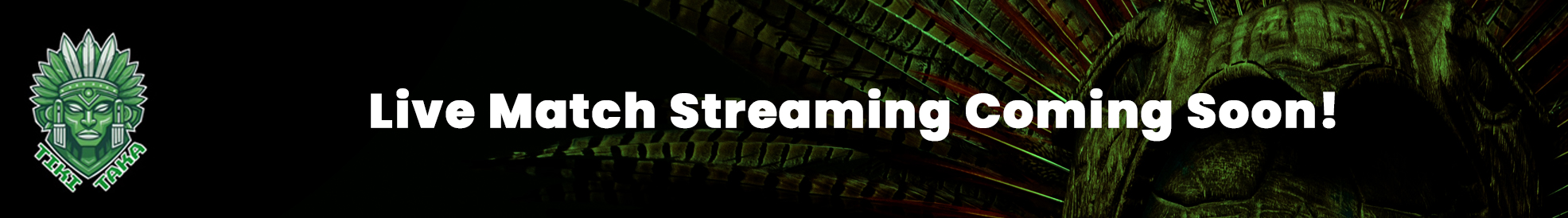 STREAM BANNER3